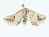  ( - BIOUG98712-H04)  @11 [ ] CreativeCommons - Attribution (2023) CBG Photography Group Centre for Biodiversity Genomics