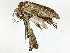  ( - BIOUG91298-H04)  @11 [ ] CreativeCommons - Attribution (2022) CBG Photography Group Centre for Biodiversity Genomics