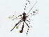  ( - BIOUG91340-D04)  @11 [ ] CreativeCommons - Attribution (2022) CBG Photography Group Centre for Biodiversity Genomics