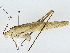  ( - BIOUG91340-F11)  @11 [ ] CreativeCommons - Attribution (2022) CBG Photography Group Centre for Biodiversity Genomics
