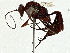  ( - BIOUG91343-A02)  @11 [ ] CreativeCommons - Attribution (2022) CBG Photography Group Centre for Biodiversity Genomics