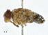  ( - BIOUG97752-D02)  @11 [ ] CreativeCommons - Attribution (2023) CBG Photography Group Centre for Biodiversity Genomics