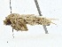  ( - BIOUG97753-B02)  @11 [ ] CreativeCommons - Attribution (2023) CBG Photography Group Centre for Biodiversity Genomics