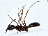  ( - BIOUG97753-G08)  @11 [ ] CreativeCommons - Attribution (2023) CBG Photography Group Centre for Biodiversity Genomics