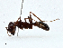  ( - BIOUG97753-G09)  @11 [ ] CreativeCommons - Attribution (2023) CBG Photography Group Centre for Biodiversity Genomics