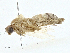  ( - CBG-A00306-A03)  @11 [ ] CreativeCommons - Attribution (2023) CBG Photography Group Centre for Biodiversity Genomics