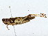  ( - CBG-A00306-G07)  @11 [ ] CreativeCommons - Attribution (2023) CBG Photography Group Centre for Biodiversity Genomics