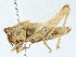  ( - CBG-A00306-G12)  @11 [ ] CreativeCommons - Attribution (2023) CBG Photography Group Centre for Biodiversity Genomics