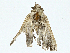 ( - CBG-A00306-H08)  @11 [ ] CreativeCommons - Attribution (2023) CBG Photography Group Centre for Biodiversity Genomics