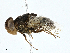  ( - CBG-A00307-C06)  @11 [ ] CreativeCommons - Attribution (2023) CBG Photography Group Centre for Biodiversity Genomics