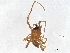  ( - CBG-A00307-H09)  @11 [ ] CreativeCommons - Attribution (2023) CBG Photography Group Centre for Biodiversity Genomics