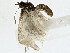  ( - BIOUG91341-D06)  @11 [ ] CreativeCommons - Attribution (2022) CBG Photography Group Centre for Biodiversity Genomics