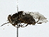  ( - BIOUG91341-F07)  @11 [ ] CreativeCommons - Attribution (2022) CBG Photography Group Centre for Biodiversity Genomics