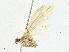 ( - BIOUG97767-F01)  @11 [ ] CreativeCommons - Attribution (2023) CBG Photography Group Centre for Biodiversity Genomics
