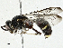  ( - CBG-A00259-F01)  @11 [ ] CreativeCommons - Attribution (2023) CBG Photography Group Centre for Biodiversity Genomics