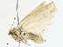  ( - CBG-A00260-E02)  @11 [ ] CreativeCommons - Attribution (2023) CBG Photography Group Centre for Biodiversity Genomics