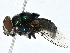  ( - CBG-A00260-H07)  @11 [ ] CreativeCommons - Attribution (2023) CBG Photography Group Centre for Biodiversity Genomics