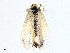  ( - CBG-A00261-C04)  @11 [ ] CreativeCommons - Attribution (2023) CBG Photography Group Centre for Biodiversity Genomics
