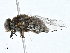  ( - CBG-A00261-F03)  @11 [ ] CreativeCommons - Attribution (2023) CBG Photography Group Centre for Biodiversity Genomics