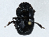  ( - CBG-A00262-G12)  @11 [ ] CreativeCommons - Attribution (2023) CBG Photography Group Centre for Biodiversity Genomics