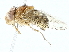  ( - BIOUG89978-F09)  @11 [ ] CreativeCommons - Attribution (2022) CBG Photography Group Centre for Biodiversity Genomics