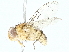 ( - BIOUG89978-F10)  @11 [ ] CreativeCommons - Attribution (2022) CBG Photography Group Centre for Biodiversity Genomics