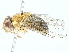  ( - BIOUG89978-F11)  @11 [ ] CreativeCommons - Attribution (2022) CBG Photography Group Centre for Biodiversity Genomics