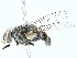  ( - BIOUG89978-G12)  @11 [ ] CreativeCommons - Attribution (2022) CBG Photography Group Centre for Biodiversity Genomics