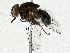  ( - BIOUG91341-H05)  @11 [ ] CreativeCommons - Attribution (2022) CBG Photography Group Centre for Biodiversity Genomics