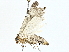 ( - BIOUG95349-B04)  @11 [ ] CreativeCommons - Attribution (2022) CBG Photography Group Centre for Biodiversity Genomics