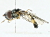  ( - BIOUG95349-G02)  @11 [ ] CreativeCommons - Attribution (2022) CBG Photography Group Centre for Biodiversity Genomics