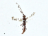  ( - CBG-A00314-C04)  @11 [ ] CreativeCommons - Attribution (2023) CBG Photography Group Centre for Biodiversity Genomics