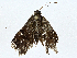  ( - CBG-A00315-B08)  @11 [ ] CreativeCommons - Attribution (2023) CBG Photography Group Centre for Biodiversity Genomics