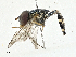  ( - CBG-A00316-B01)  @11 [ ] CreativeCommons - Attribution (2023) CBG Photography Group Centre for Biodiversity Genomics
