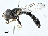  ( - CBG-A00316-B11)  @11 [ ] CreativeCommons - Attribution (2023) CBG Photography Group Centre for Biodiversity Genomics