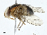  ( - CBG-A00318-E06)  @11 [ ] CreativeCommons - Attribution (2023) CBG Photography Group Centre for Biodiversity Genomics