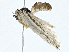  ( - CBG-A00319-C08)  @11 [ ] CreativeCommons - Attribution (2023) CBG Photography Group Centre for Biodiversity Genomics