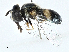  ( - CBG-A00321-C10)  @11 [ ] CreativeCommons - Attribution (2023) CBG Photography Group Centre for Biodiversity Genomics