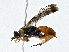  ( - CBG-A00311-F07)  @11 [ ] CreativeCommons - Attribution (2023) CBG Photography Group Centre for Biodiversity Genomics
