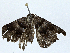  ( - CBG-A00313-C07)  @11 [ ] CreativeCommons - Attribution (2023) CBG Photography Group Centre for Biodiversity Genomics