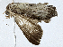  ( - CBG-A00313-G03)  @11 [ ] CreativeCommons - Attribution (2023) CBG Photography Group Centre for Biodiversity Genomics