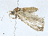  ( - CBG-A00313-G07)  @11 [ ] CreativeCommons - Attribution (2023) CBG Photography Group Centre for Biodiversity Genomics