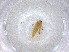  ( - CBG-A00970-D01)  @11 [ ] CreativeCommons - Attribution (2023) Centre for Biodiversity Genomics Centre for Biodiversity Genomics