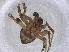  ( - CBG-A00972-A07)  @11 [ ] CreativeCommons - Attribution (2023) Centre for Biodiversity Genomics Centre for Biodiversity Genomics