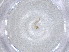  ( - CBG-A00973-G10)  @11 [ ] CreativeCommons - Attribution (2023) Centre for Biodiversity Genomics Centre for Biodiversity Genomics