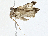  ( - CBG-A02867-C02)  @11 [ ] CreativeCommons - Attribution (2023) CBG Photography Group Centre for Biodiversity Genomics