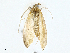  ( - CBG-A02867-H04)  @11 [ ] CreativeCommons - Attribution (2023) CBG Photography Group Centre for Biodiversity Genomics