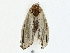  ( - CBG-A02869-B01)  @11 [ ] CreativeCommons - Attribution (2023) CBG Photography Group Centre for Biodiversity Genomics