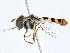  ( - CBG-A02869-C09)  @11 [ ] CreativeCommons - Attribution (2023) CBG Photography Group Centre for Biodiversity Genomics