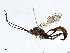  ( - CBG-A02869-F08)  @11 [ ] CreativeCommons - Attribution (2023) CBG Photography Group Centre for Biodiversity Genomics